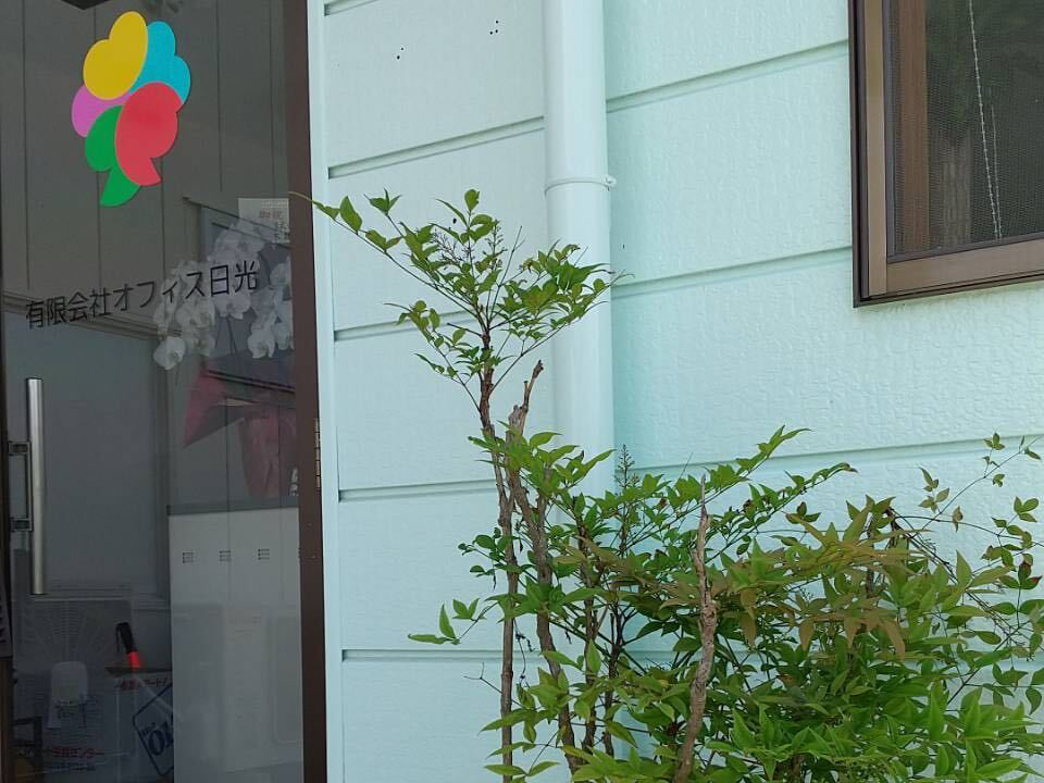 正面入口前のナンテンの写真